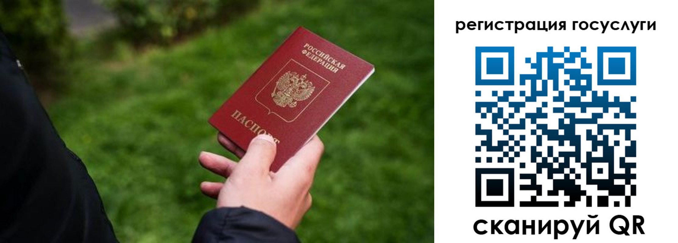 прописка в Волгодонске